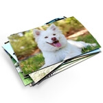 Kühlschrankmagnete mit Fotos