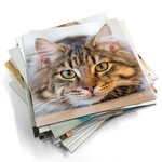 Kühlschrankmagnete mit Fotos