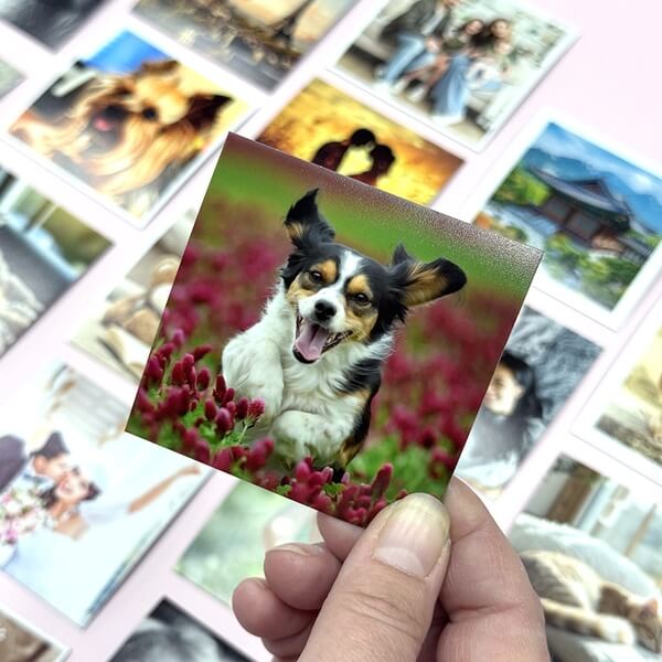 Kühlschrankmagnete mit Fotos